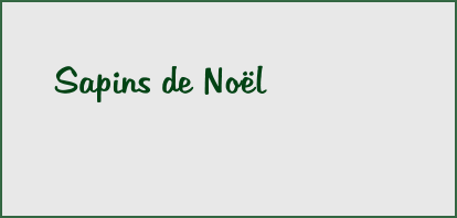 Sapins de No�l